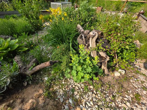 naturnahes Schildkrötengehege