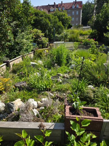 mediterranes Schildkrötengehege mit Vorbild der Natur