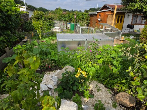 artgerechte Haltung unserer Tierheimschildkröten